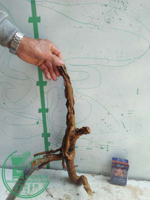 IMG20170416124658.jpg