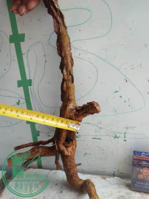 IMG20170416124703.jpg