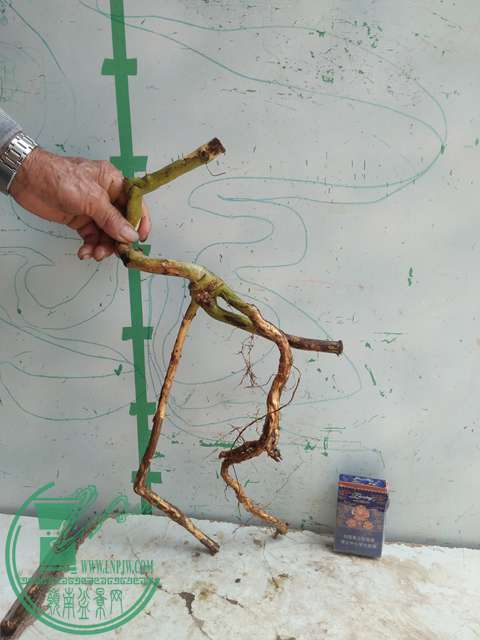 IMG20170416124751.jpg