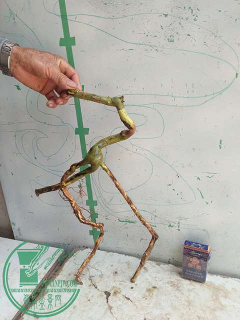 IMG20170416124800.jpg