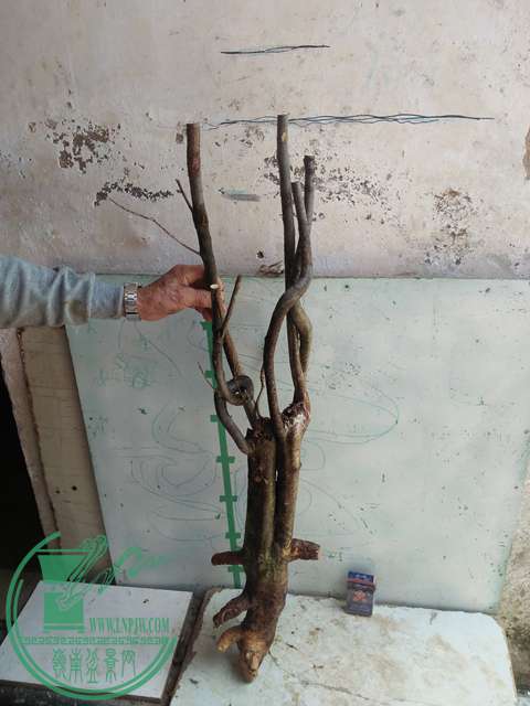IMG20170416124835.jpg