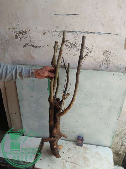 IMG20170416124846.jpg
