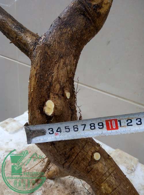 P70417-170352_.jpg
