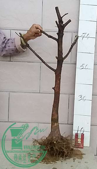 20170417_185004_mh1492429270921.jpg