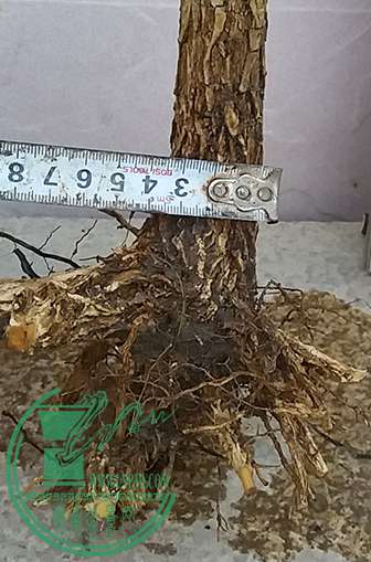 20170417_184527_mh1492429005915.jpg