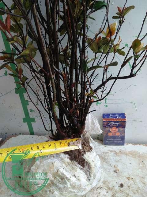 IMG20170417093622.jpg