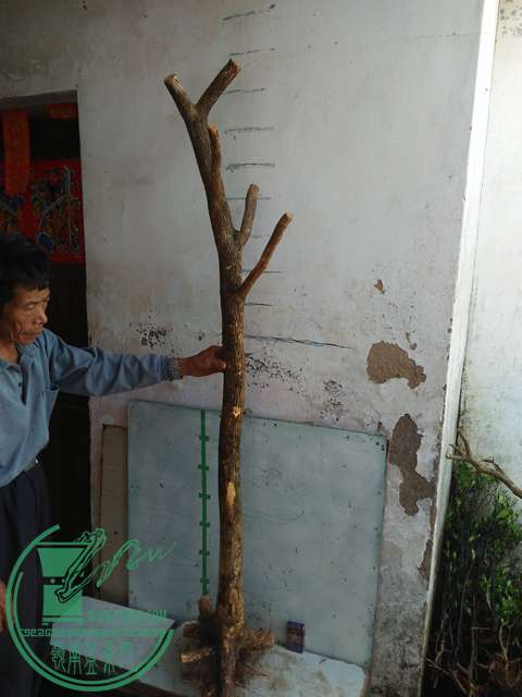 IMG20170417090205.jpg