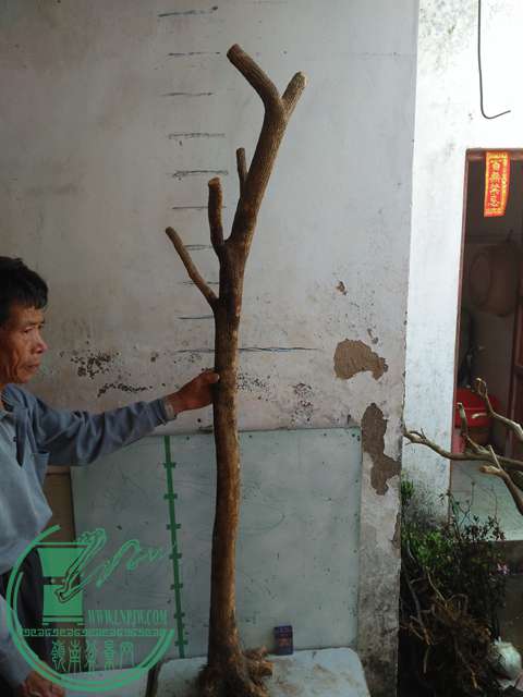 IMG20170417090300.jpg