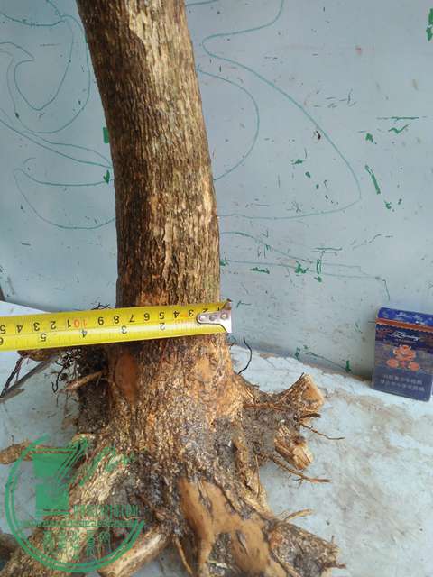 IMG20170417090349.jpg