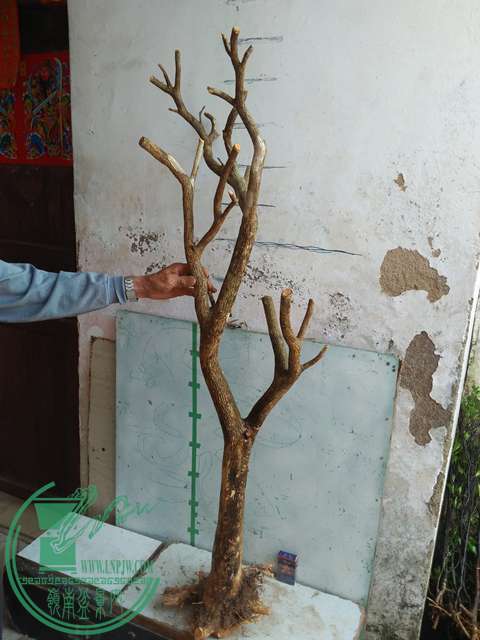 IMG20170417090403.jpg