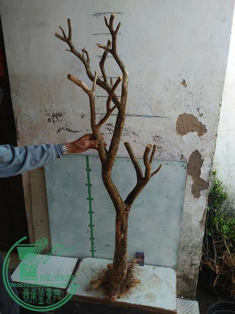 IMG20170417090410.jpg