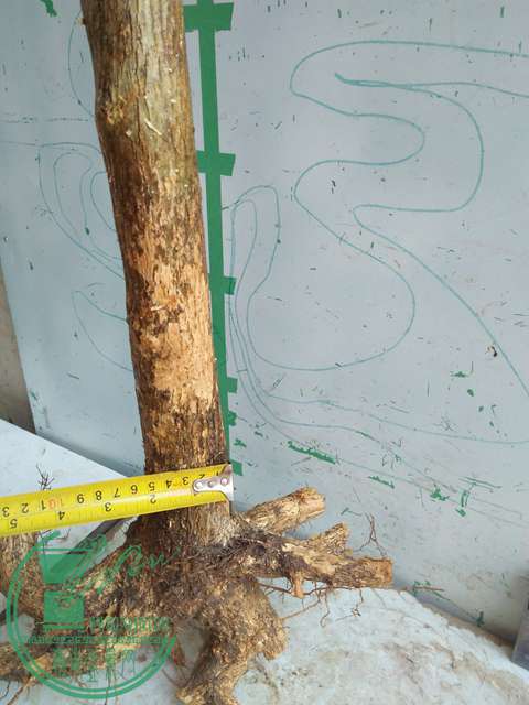 IMG20170417090452.jpg
