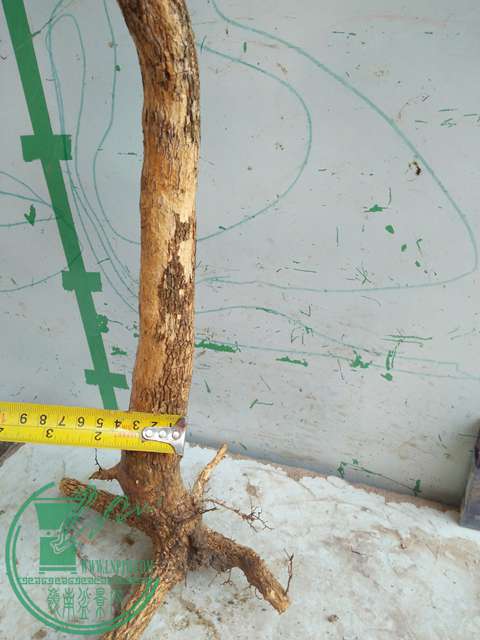 IMG20170417090521.jpg