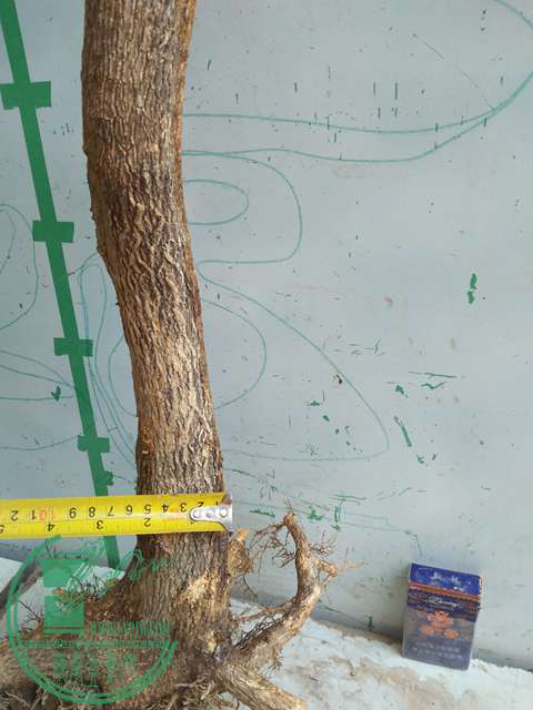 IMG20170417090603.jpg