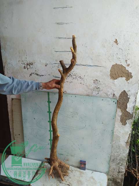 IMG20170417090610.jpg