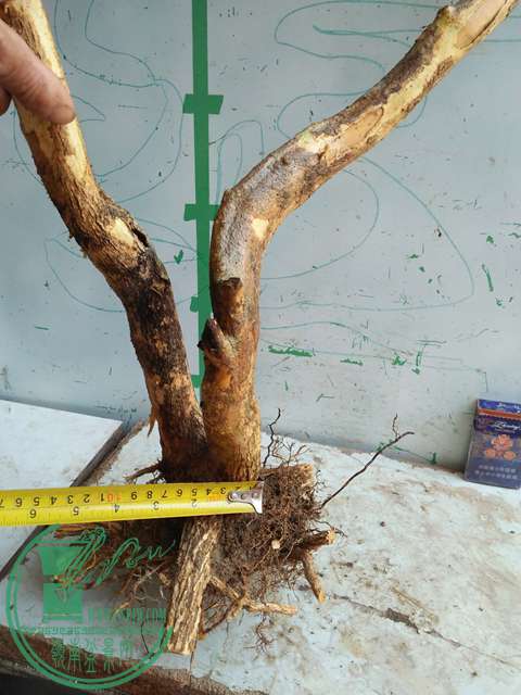 IMG20170417090649.jpg