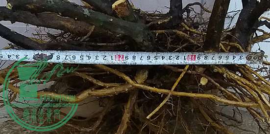 20170418_184115_mh1492515221219.jpg