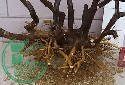 20170418_183842_mh1492515055344.jpg