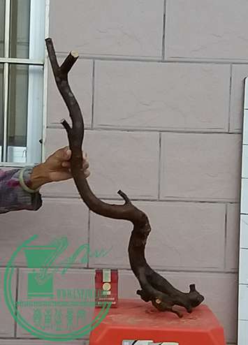 20170418_185058_mh1492515591824.jpg