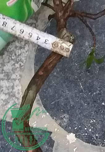 20170418_185426_mh1492515529500.jpg