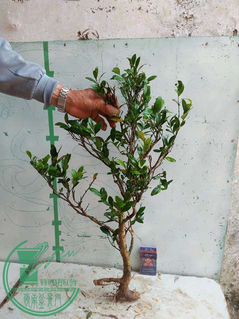IMG20170417092556.jpg