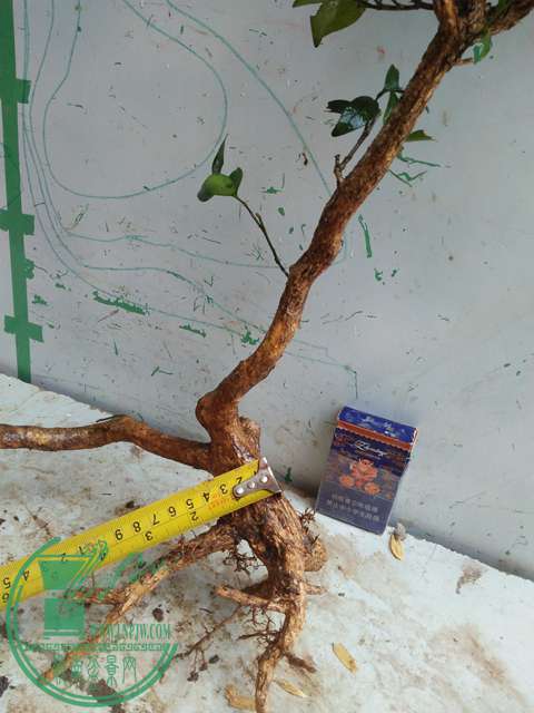 IMG20170417092826.jpg