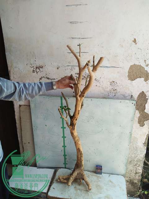 IMG20170418132114.jpg