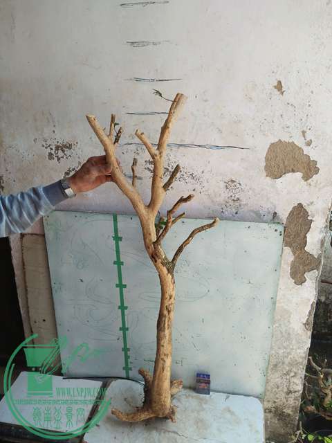 IMG20170418132127.jpg