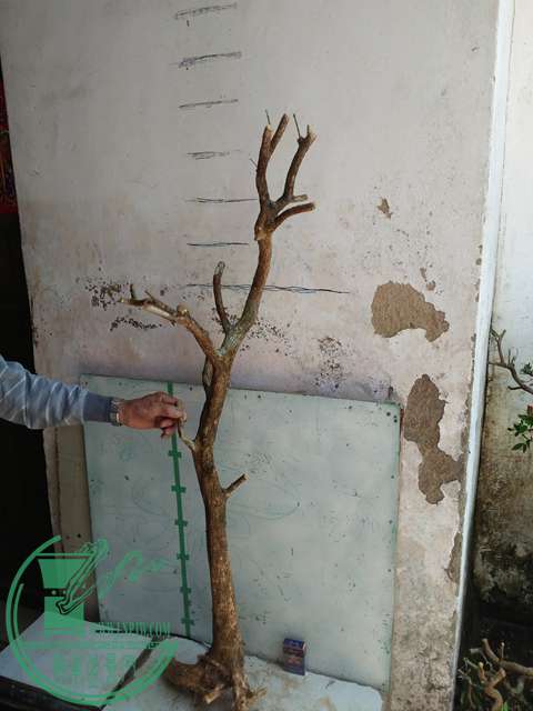 IMG20170418132149.jpg