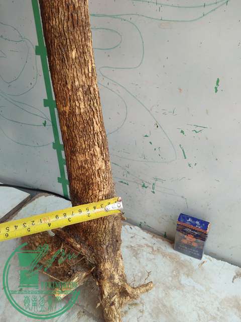 IMG20170418132156.jpg