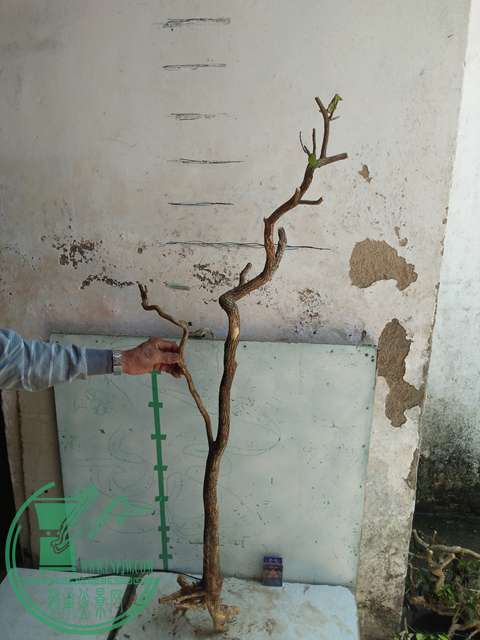 IMG20170418132406.jpg