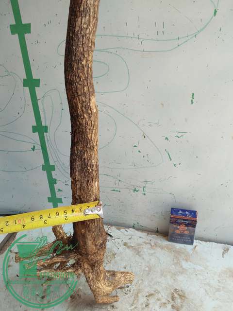 IMG20170418132411.jpg