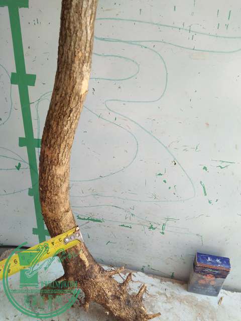 IMG20170418132505.jpg