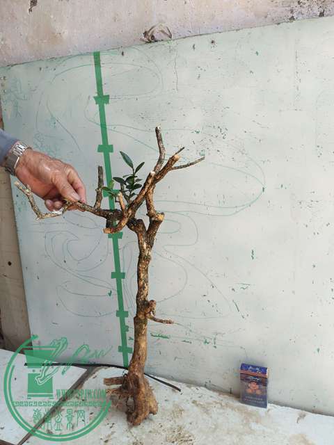 IMG20170418132612.jpg