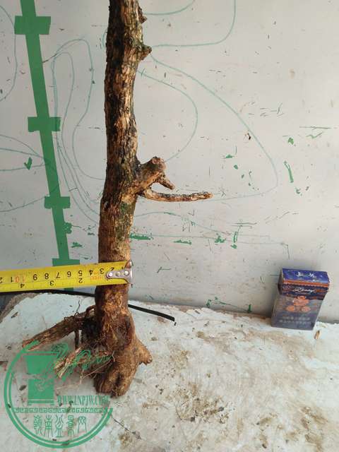 IMG20170418132618.jpg