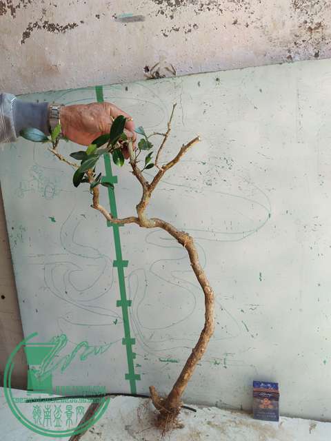 IMG20170418132741.jpg