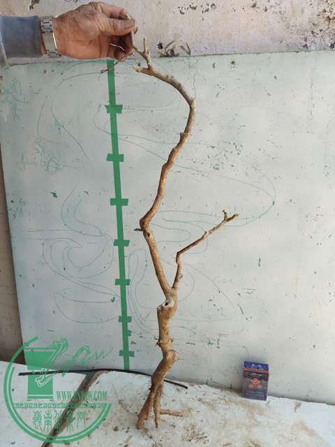 IMG20170418132753.jpg