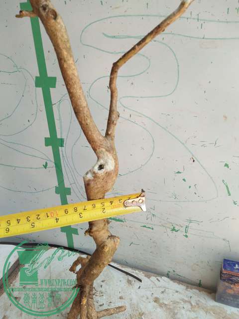 IMG20170418132757.jpg