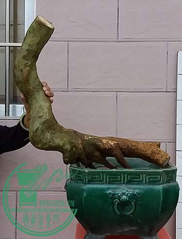 20170419_183323_mh1492601376563.jpg