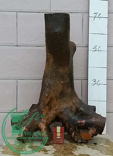 20170419_182515_mh1492601237376.jpg