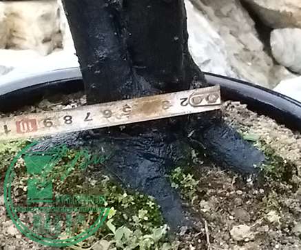 20170419_185013_mh1492601610926.jpg