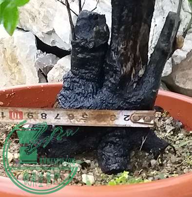 20170419_184319_mh1492601447534.jpg