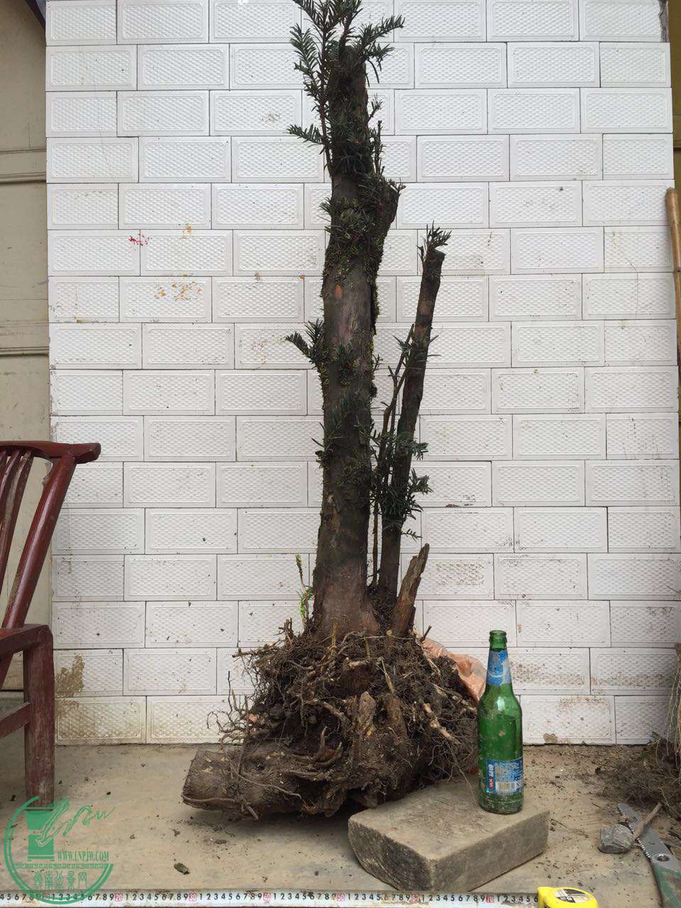 34.jpg