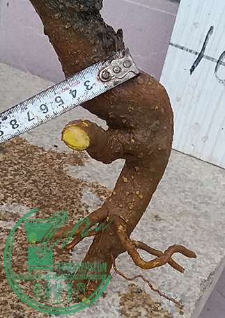 20170421_183207_mh1492774246578.jpg