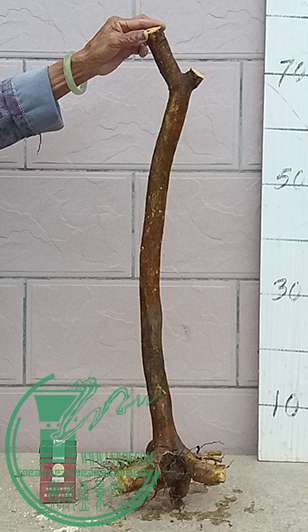 20170422_181546_mh1492859008232.jpg