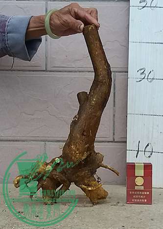 20170422_181247_mh1492858862780.jpg