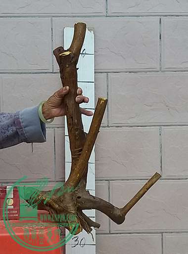 20170422_181947_mh1492859213632.jpg