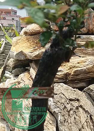 20170420_124639_mh1492859265767.jpg