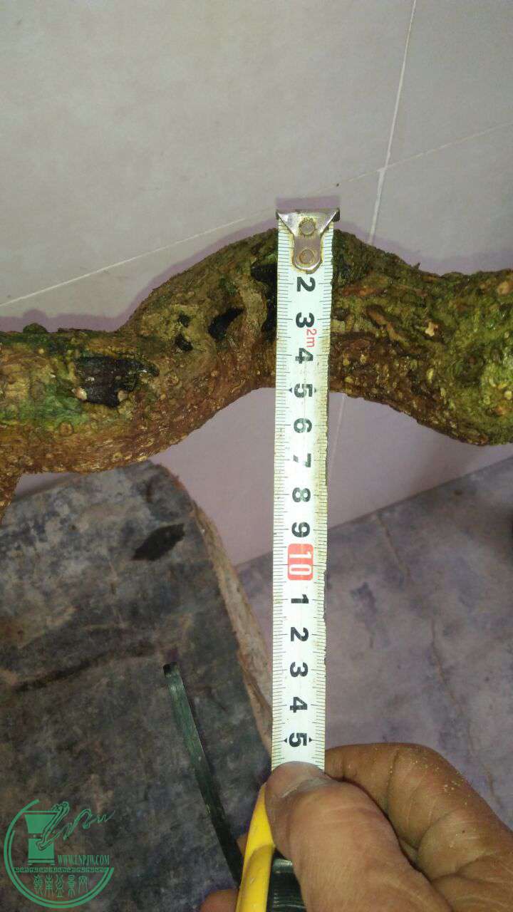 QQͼƬ20170422191359.jpg