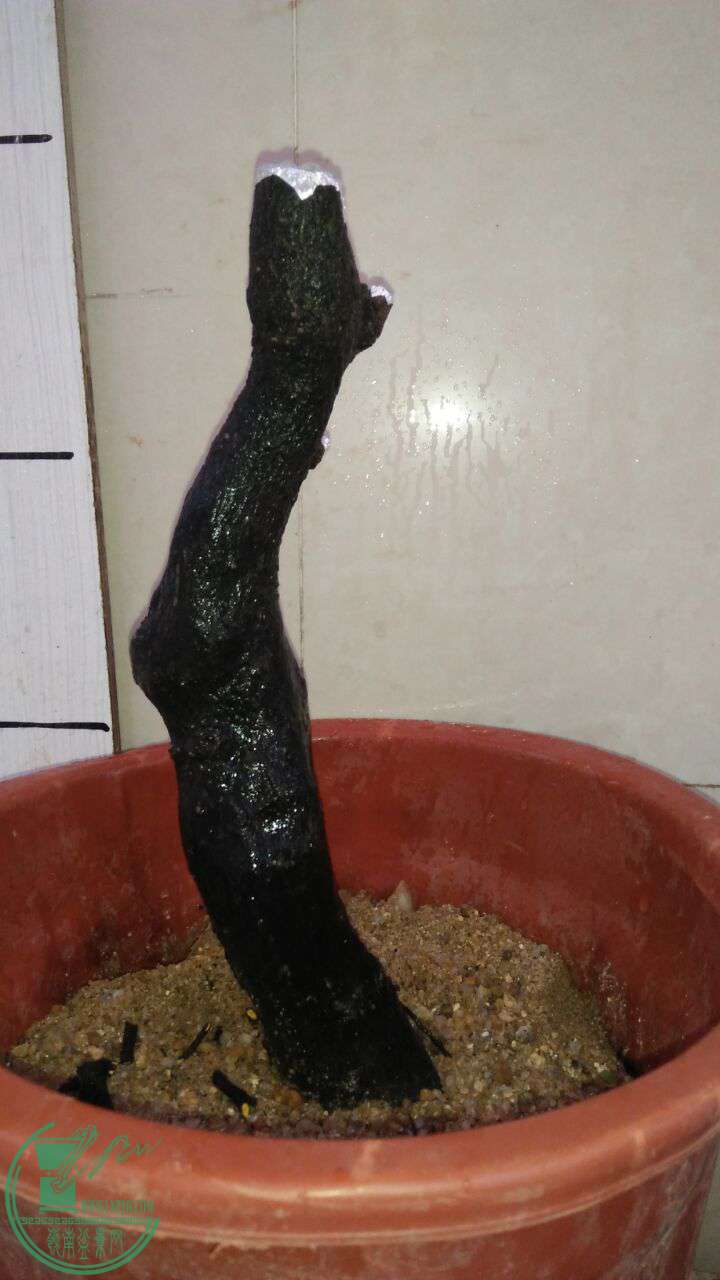 QQͼƬ20170422191347.jpg